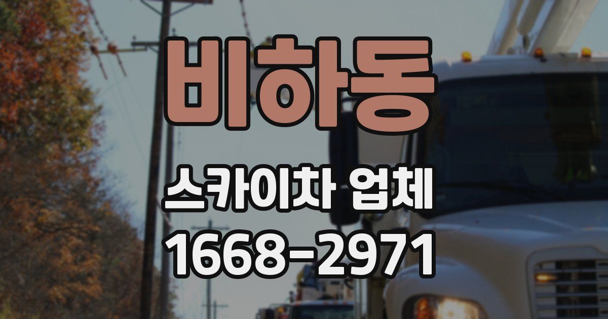 비하동 스카이차 업체