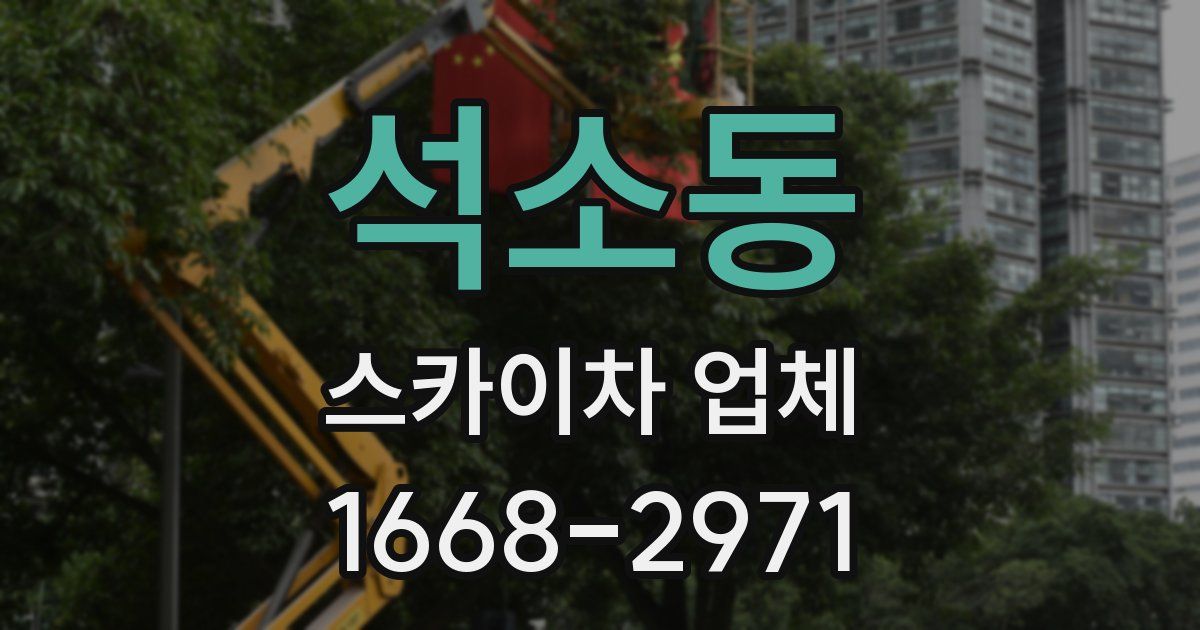 석소동 스카이차 업체