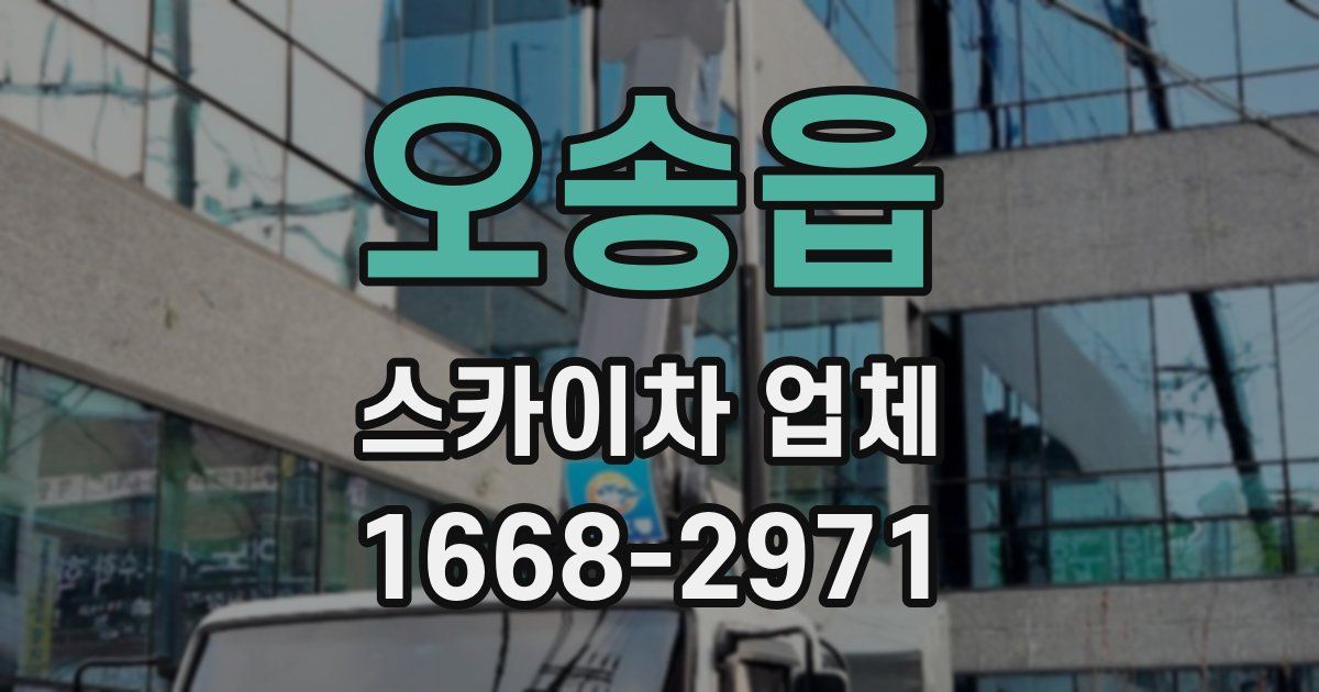 오송읍 스카이차 업체