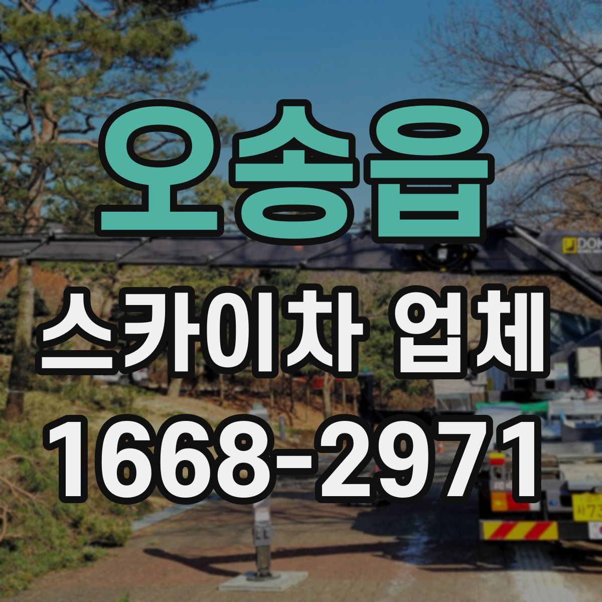 오송읍 스카이차 업체
