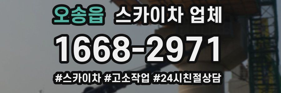 오송읍 스카이차 업체
