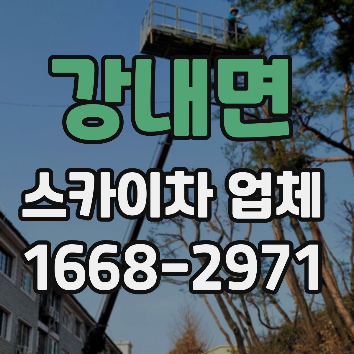 강내면 스카이차 업체