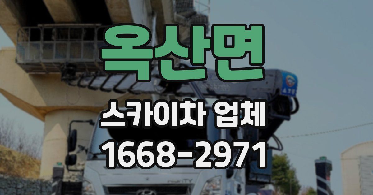옥산면 스카이차 업체
