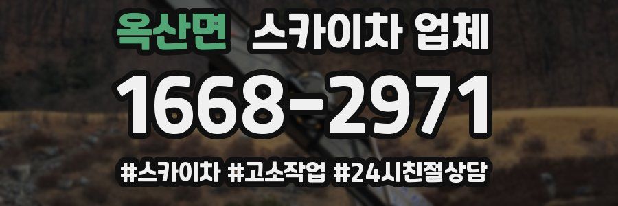 옥산면 스카이차 업체