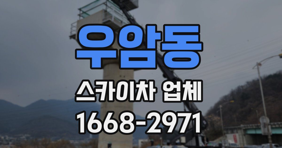우암동 스카이차 업체