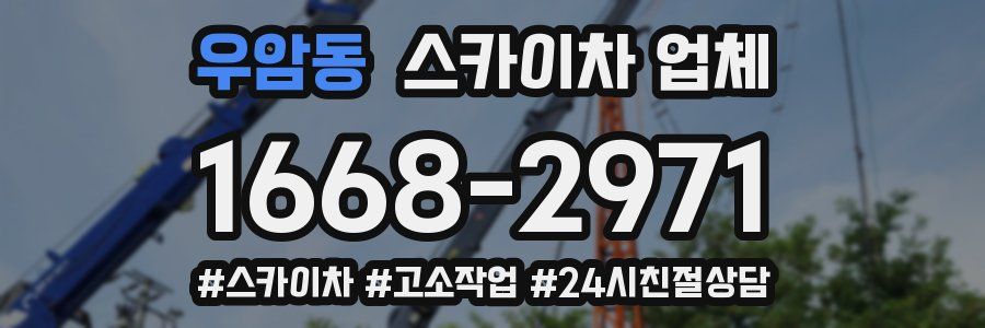 우암동 스카이차 업체