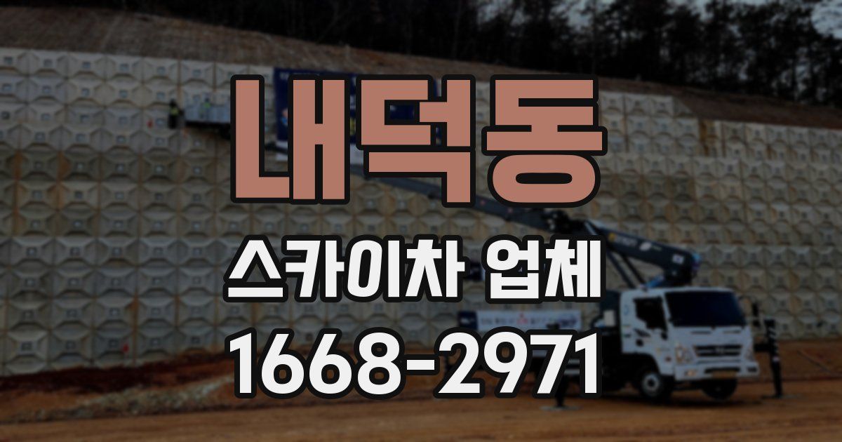 내덕동 스카이차 업체