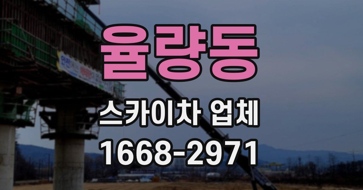 율량동 스카이차 업체