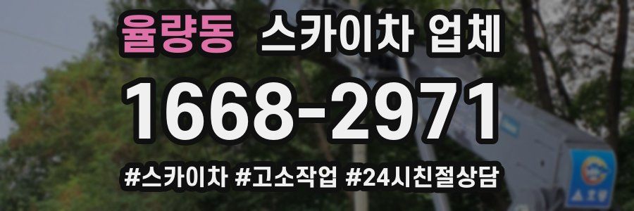 율량동 스카이차 업체