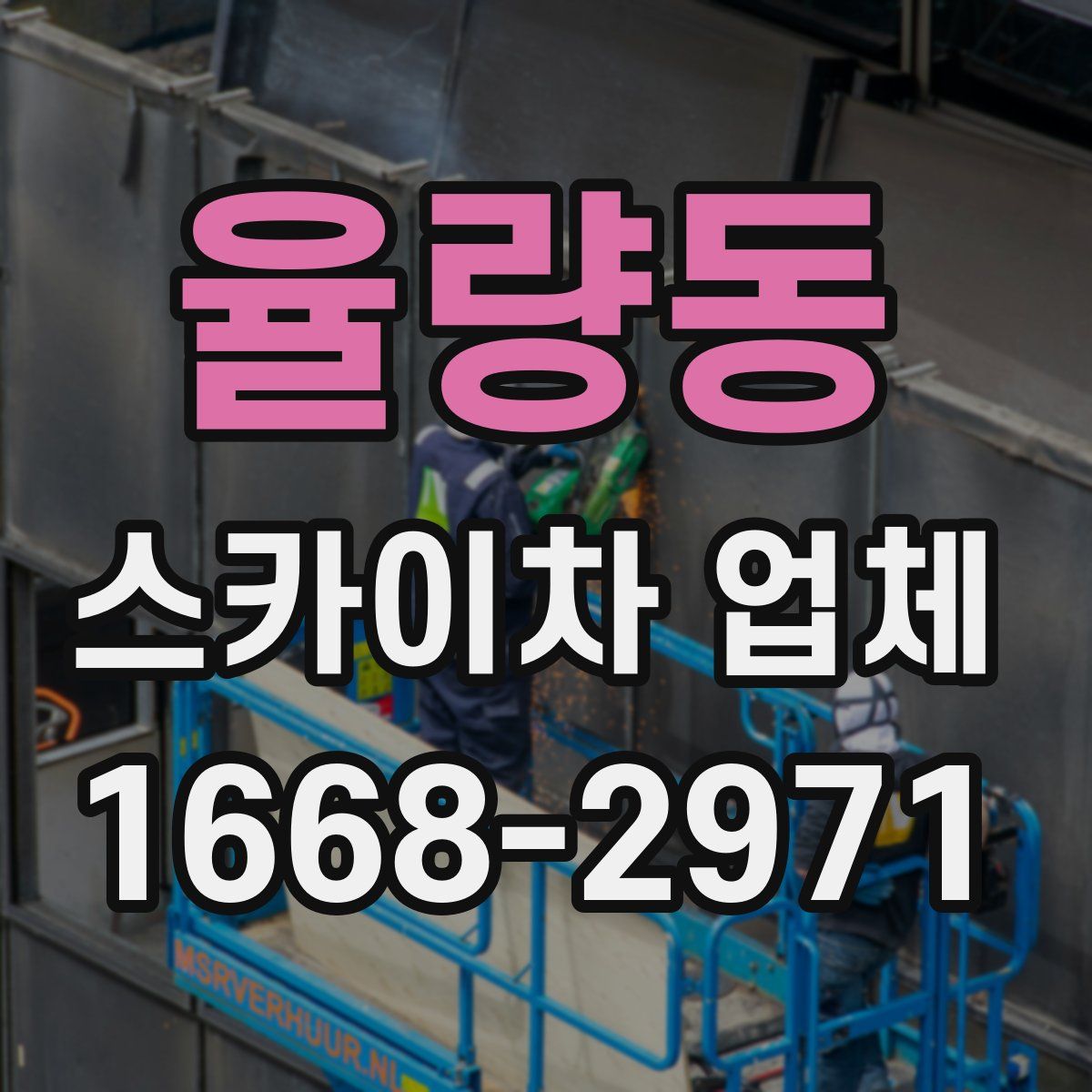 율량동 스카이차 업체