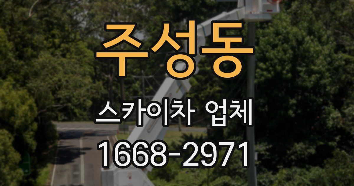 주성동 스카이차 업체
