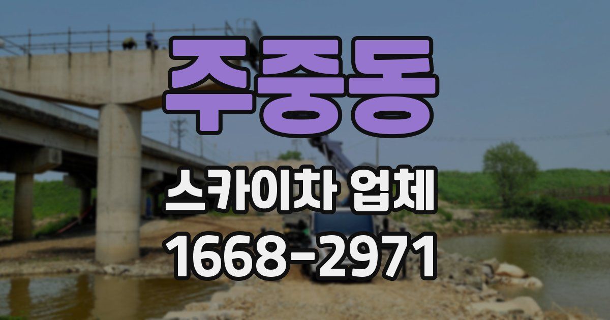 주중동 스카이차 업체