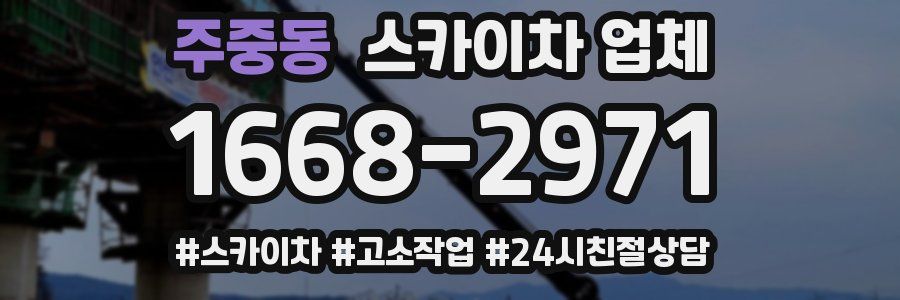 주중동 스카이차 업체
