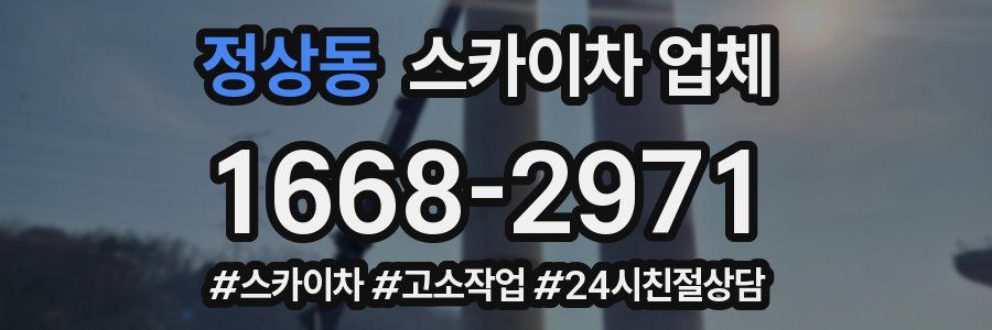 정상동 스카이차 업체