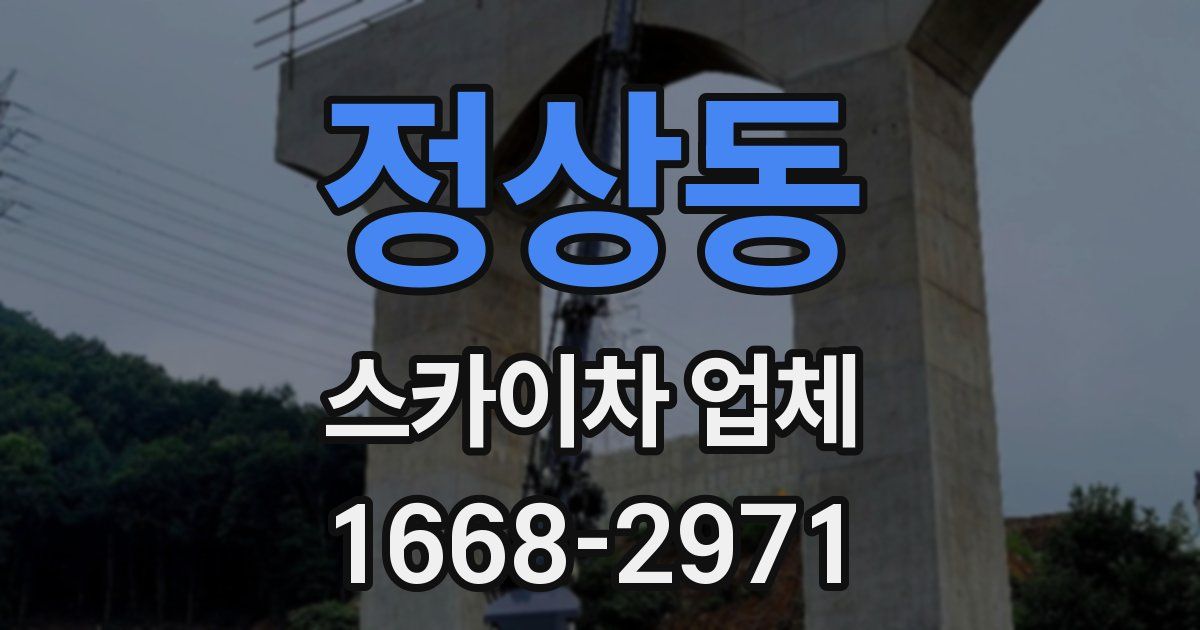 정상동 스카이차 업체
