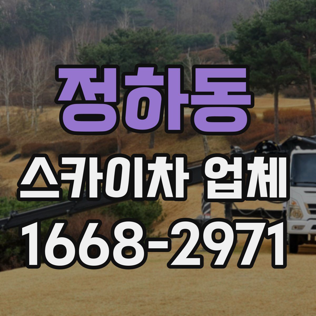 정하동 스카이차 업체