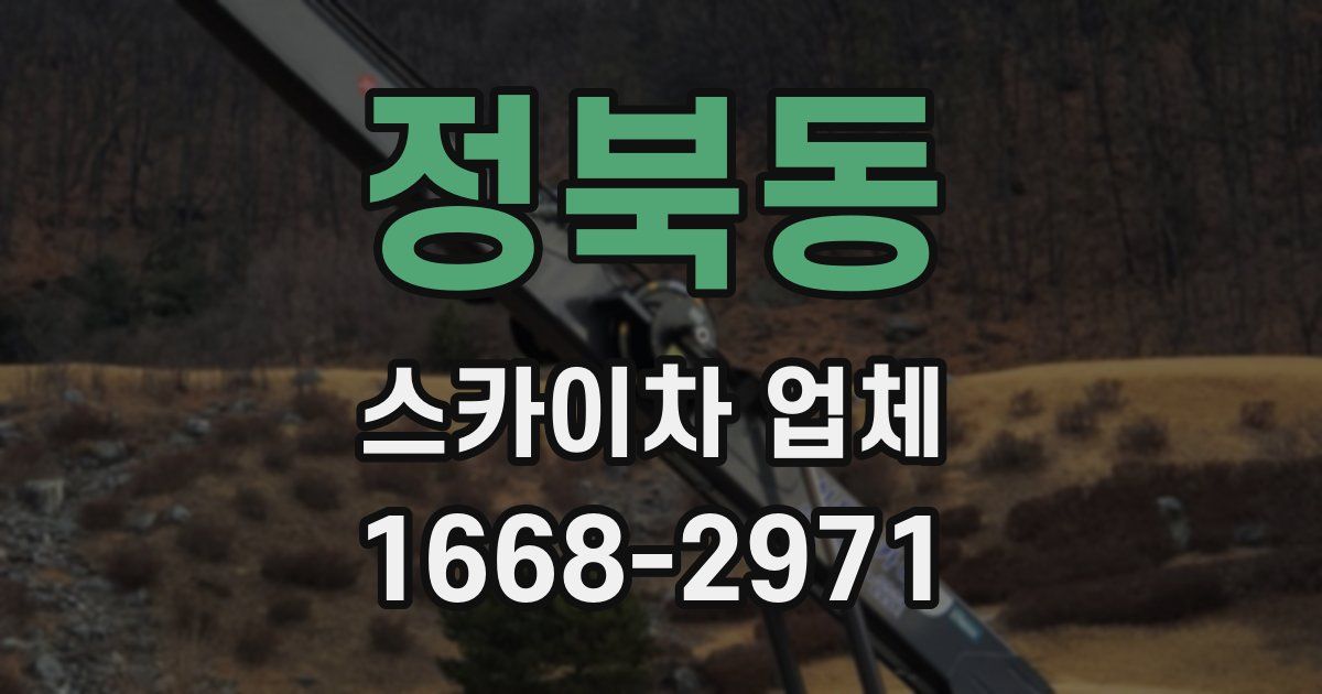정북동 스카이차 업체