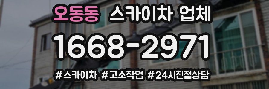 오동동 스카이차 업체