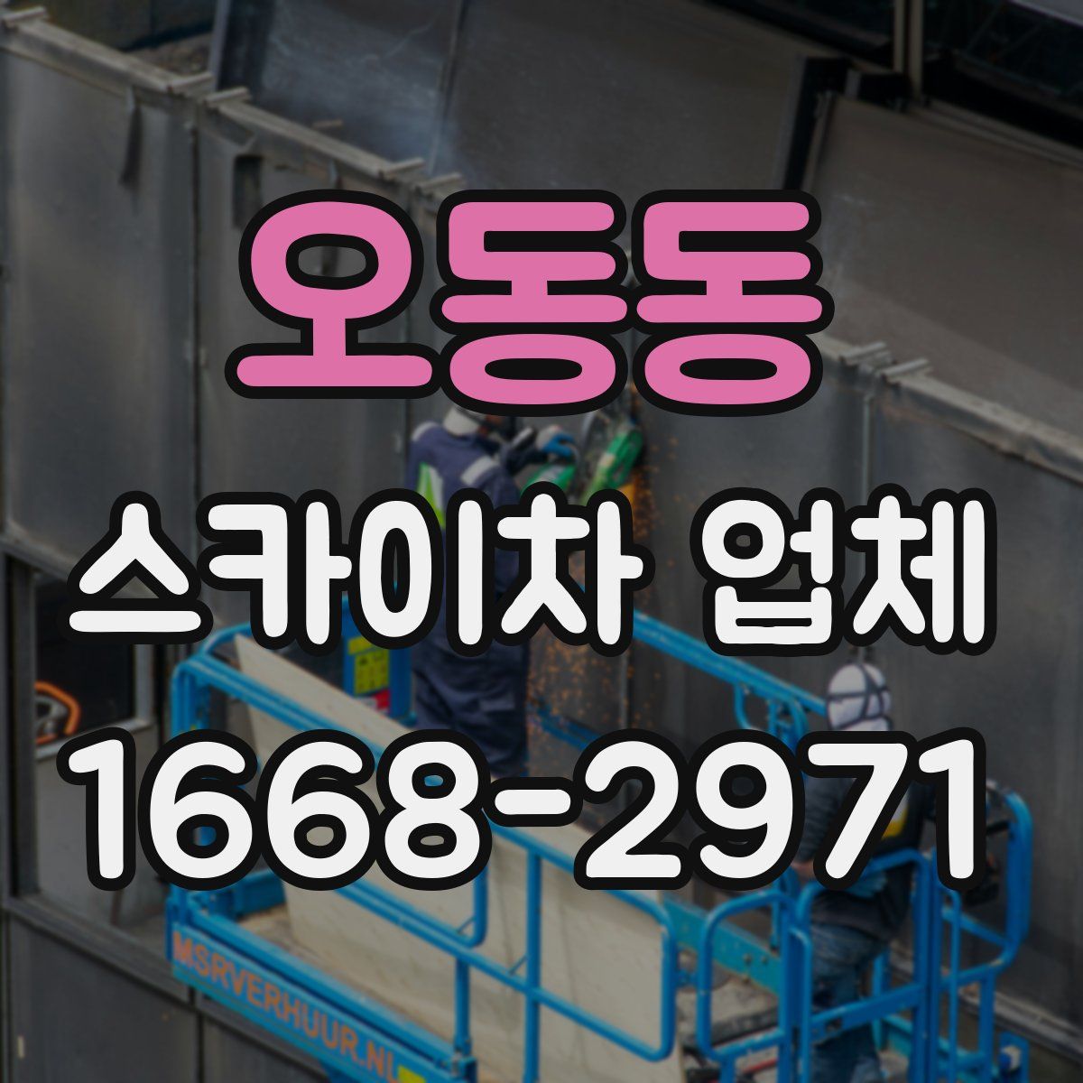 오동동 스카이차 업체
