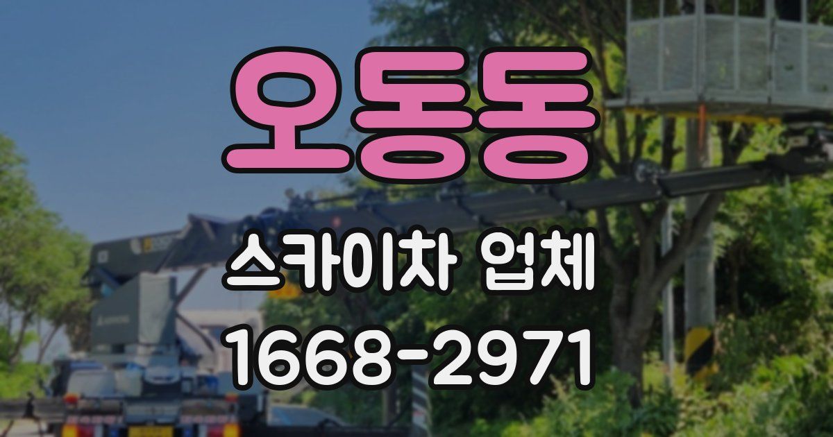 오동동 스카이차 업체