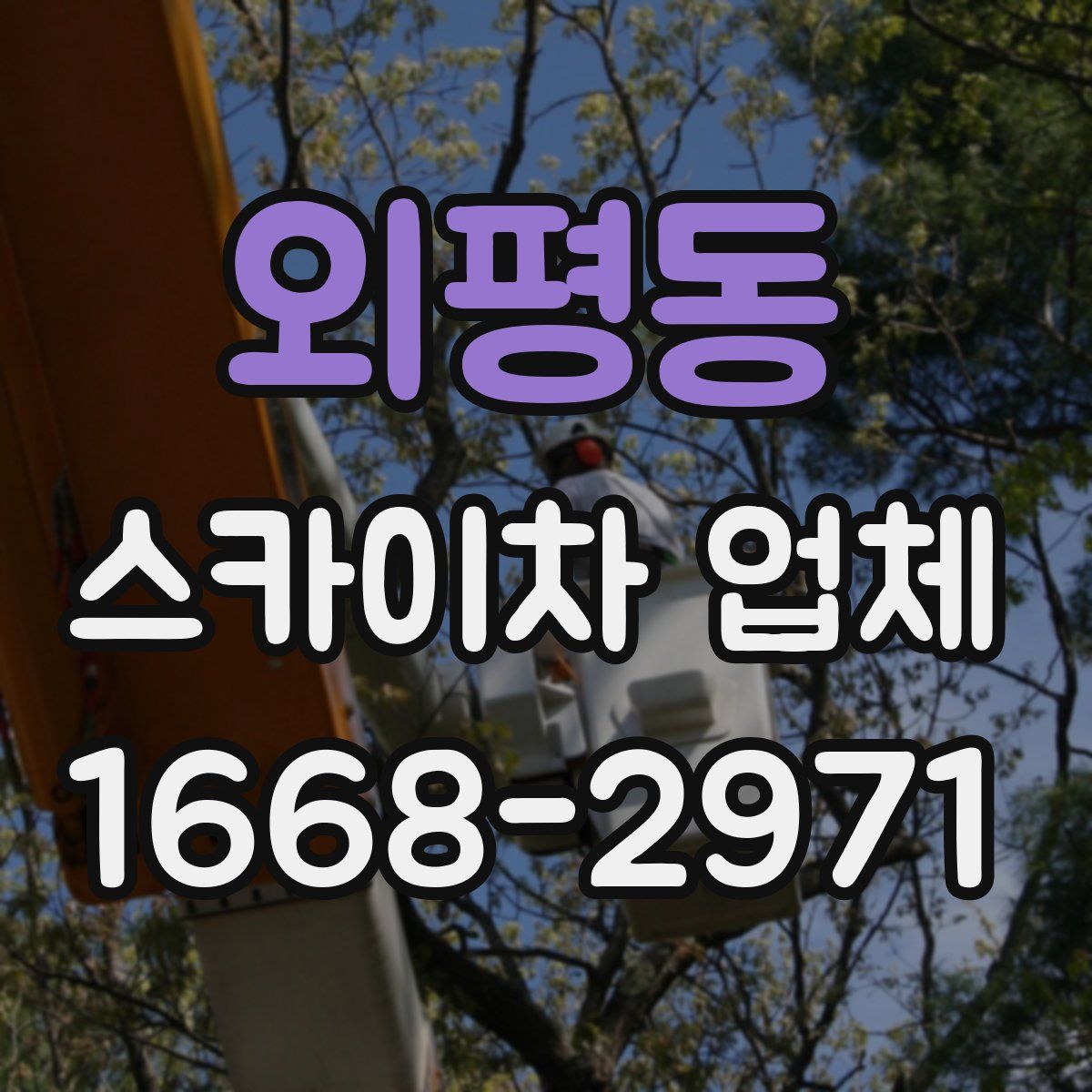 외평동 스카이차 업체