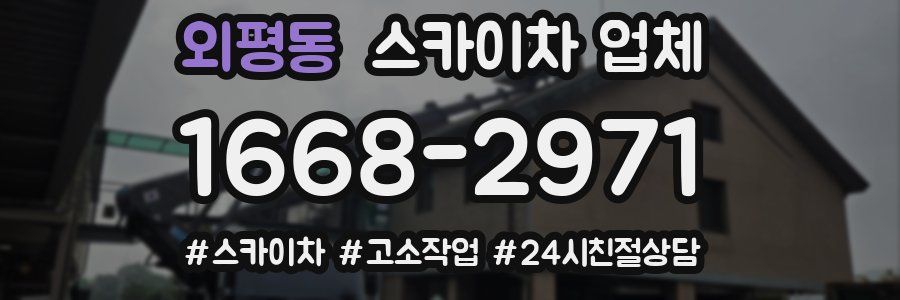 외평동 스카이차 업체