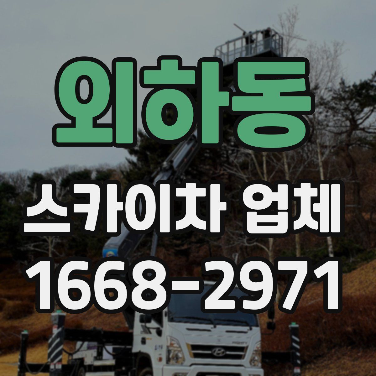 외하동 스카이차 업체