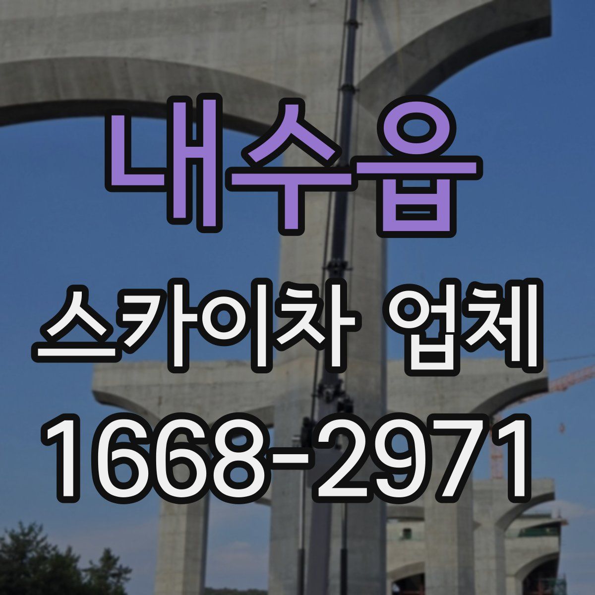 내수읍 스카이차 업체