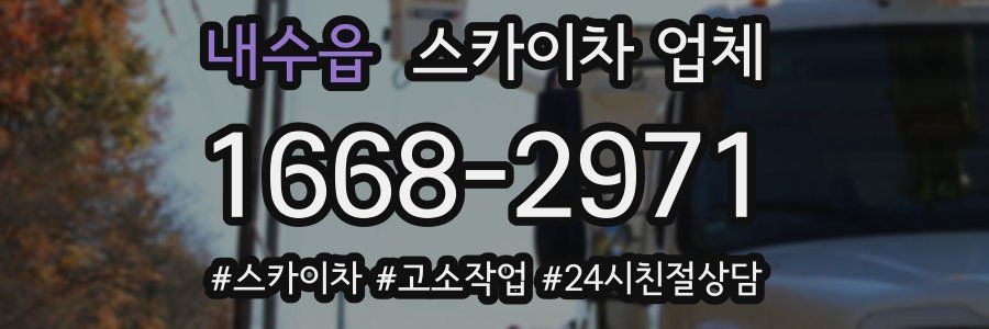 내수읍 스카이차 업체
