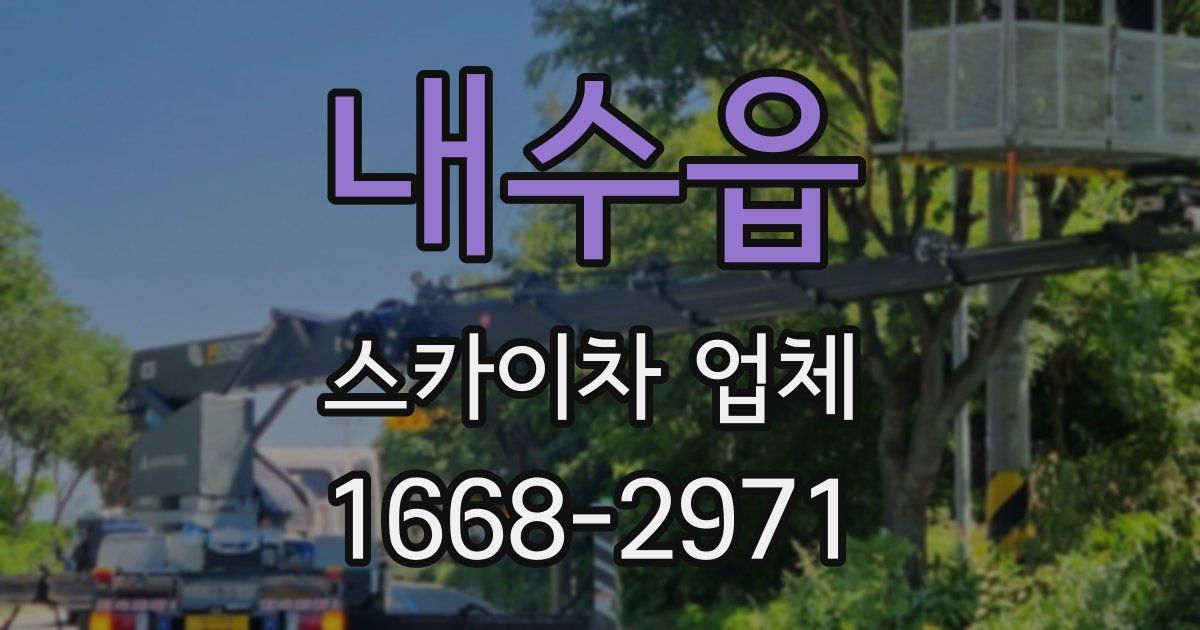 내수읍 스카이차 업체