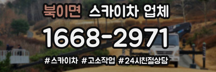 북이면 스카이차 업체