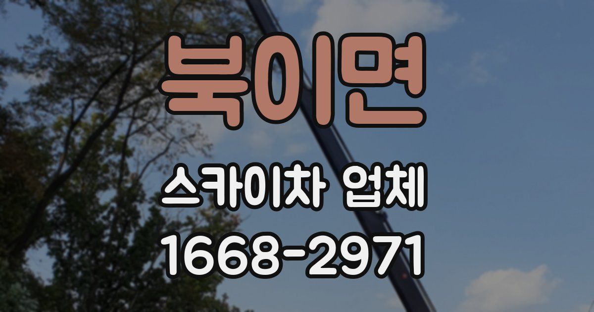 북이면 스카이차 업체