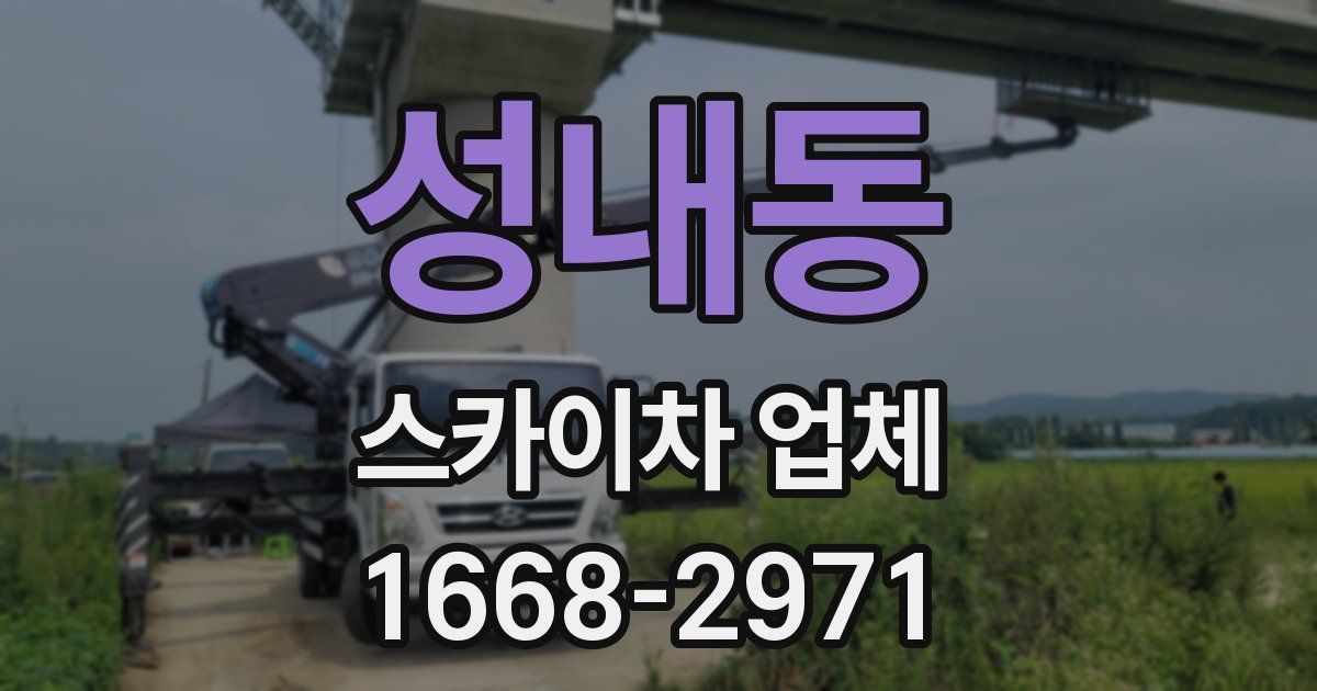 성내동 스카이차 업체