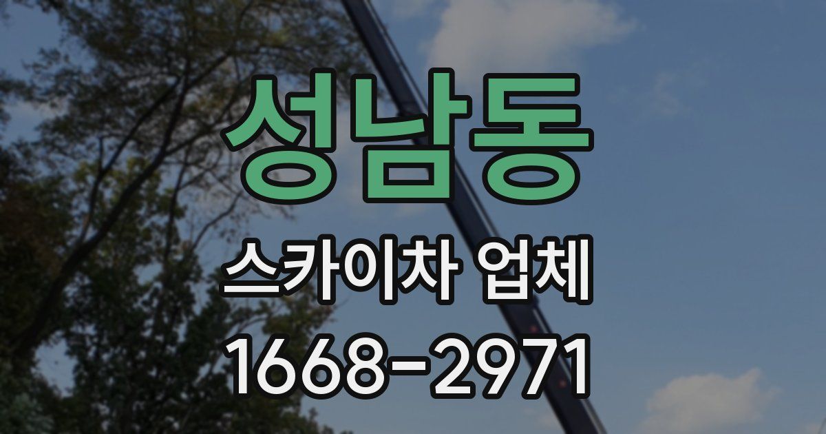 성남동 스카이차 업체