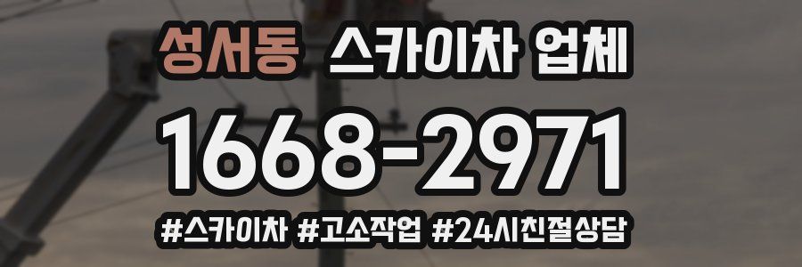 성서동 스카이차 업체