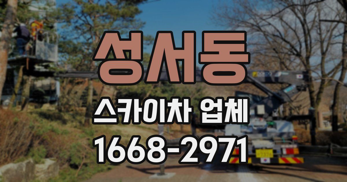 성서동 스카이차 업체