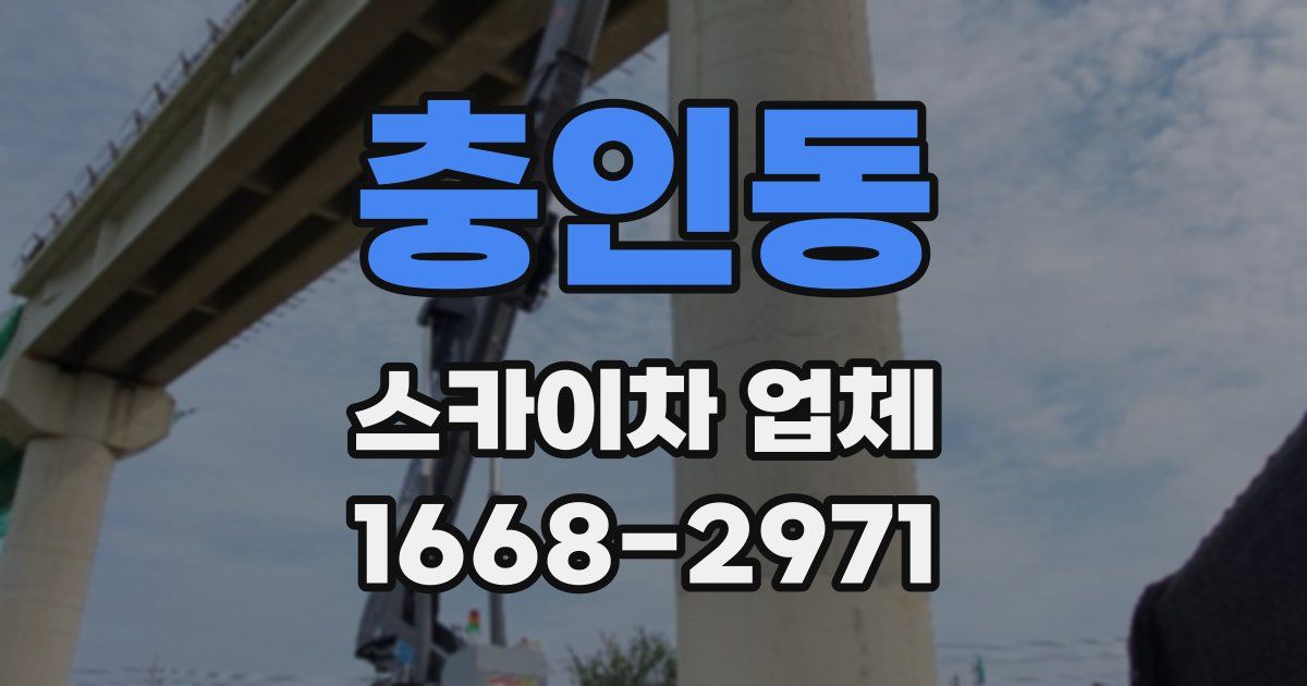 충인동 스카이차 업체