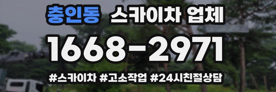 충인동 스카이차 업체