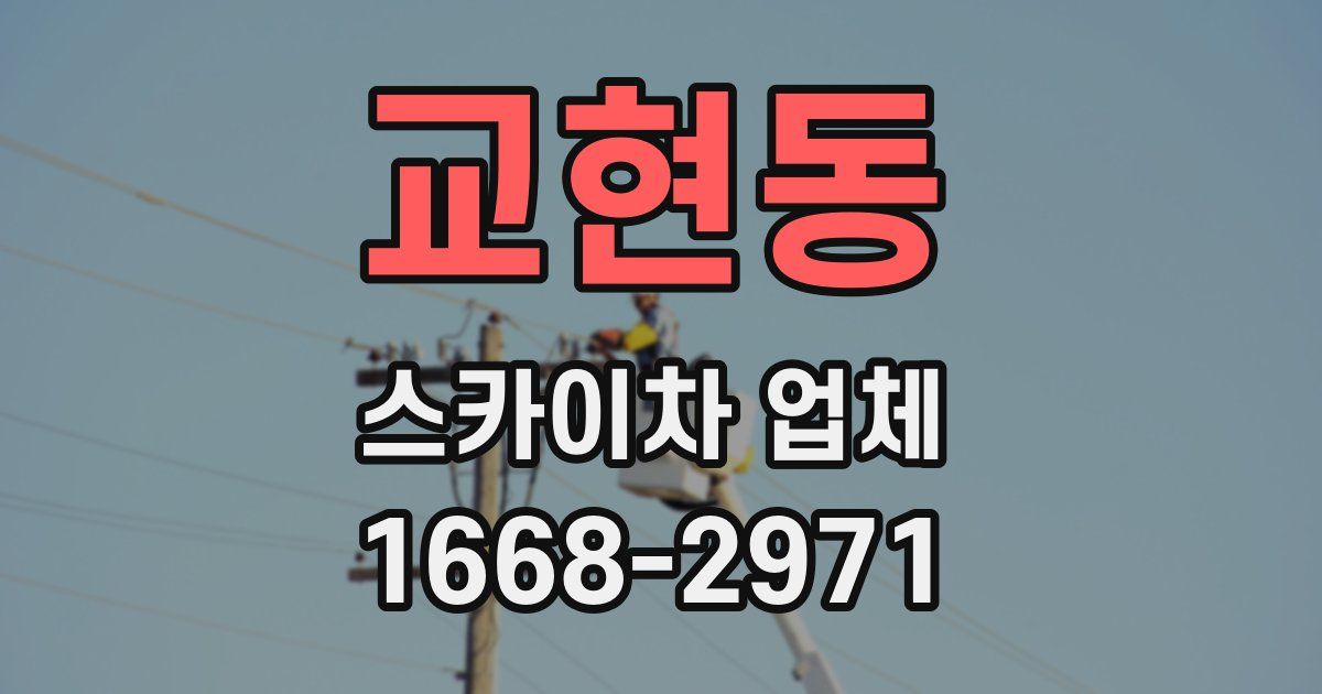 교현동 스카이차 업체