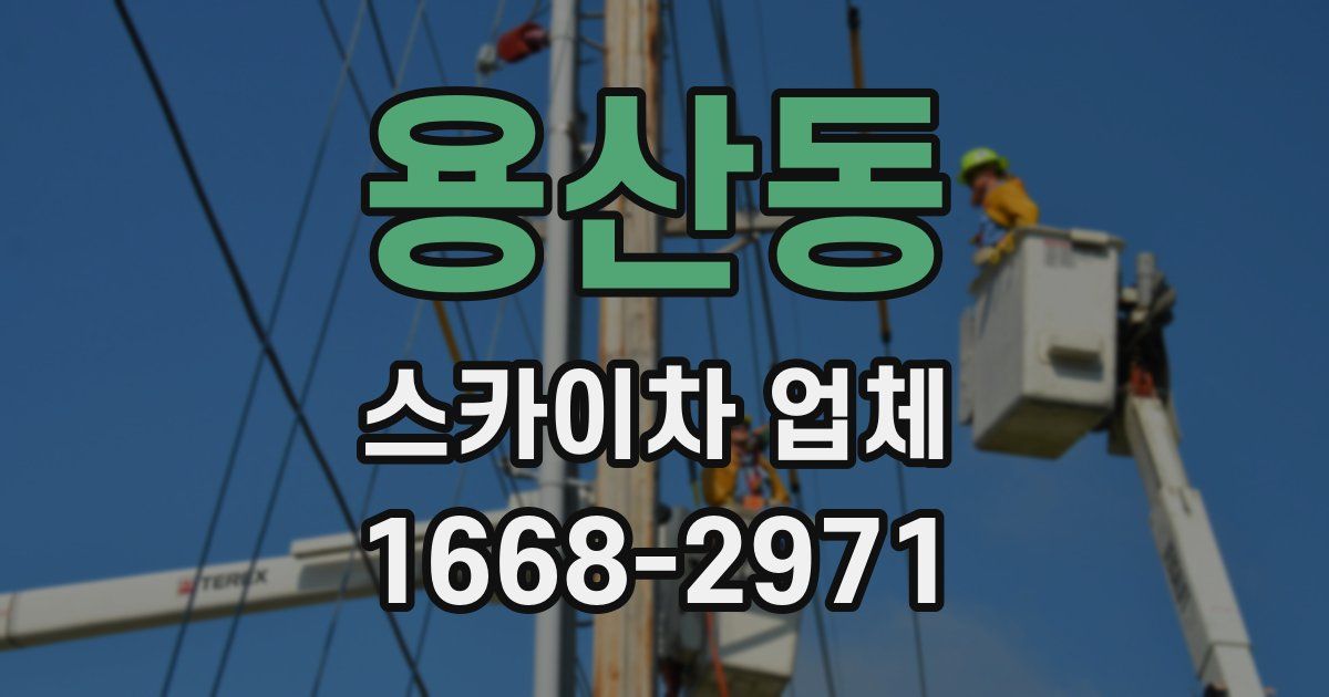 용산동 스카이차 업체