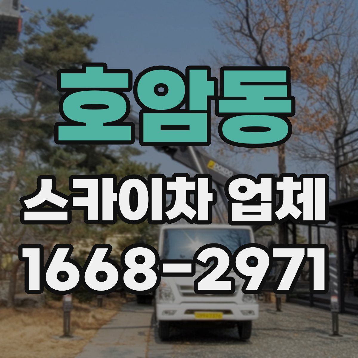 호암동 스카이차 업체