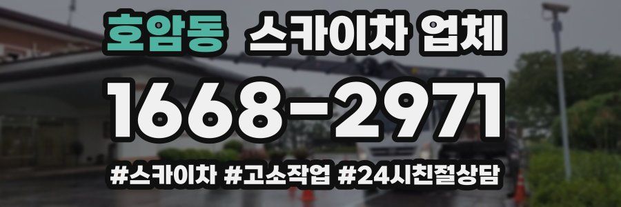 호암동 스카이차 업체
