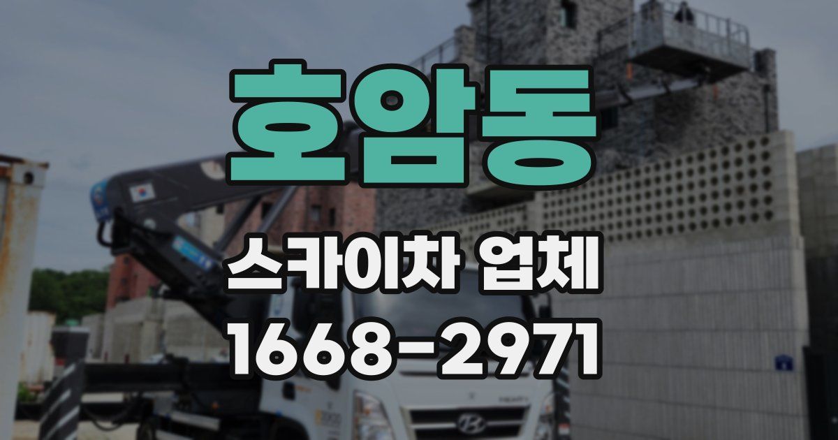 호암동 스카이차 업체
