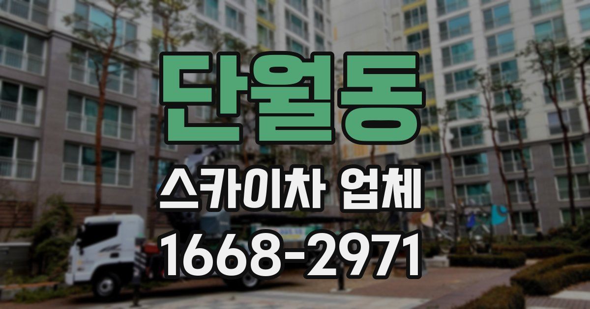 단월동 스카이차 업체