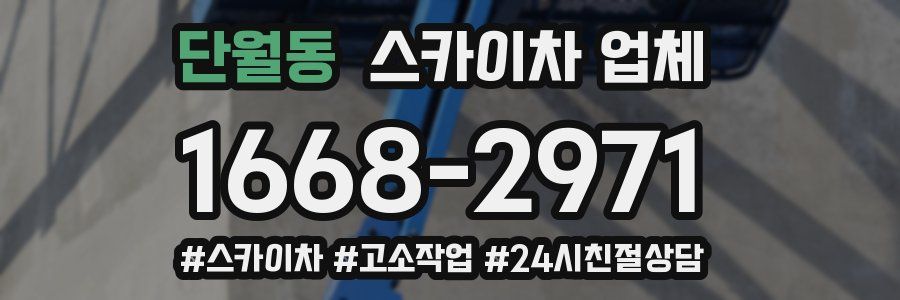 단월동 스카이차 업체