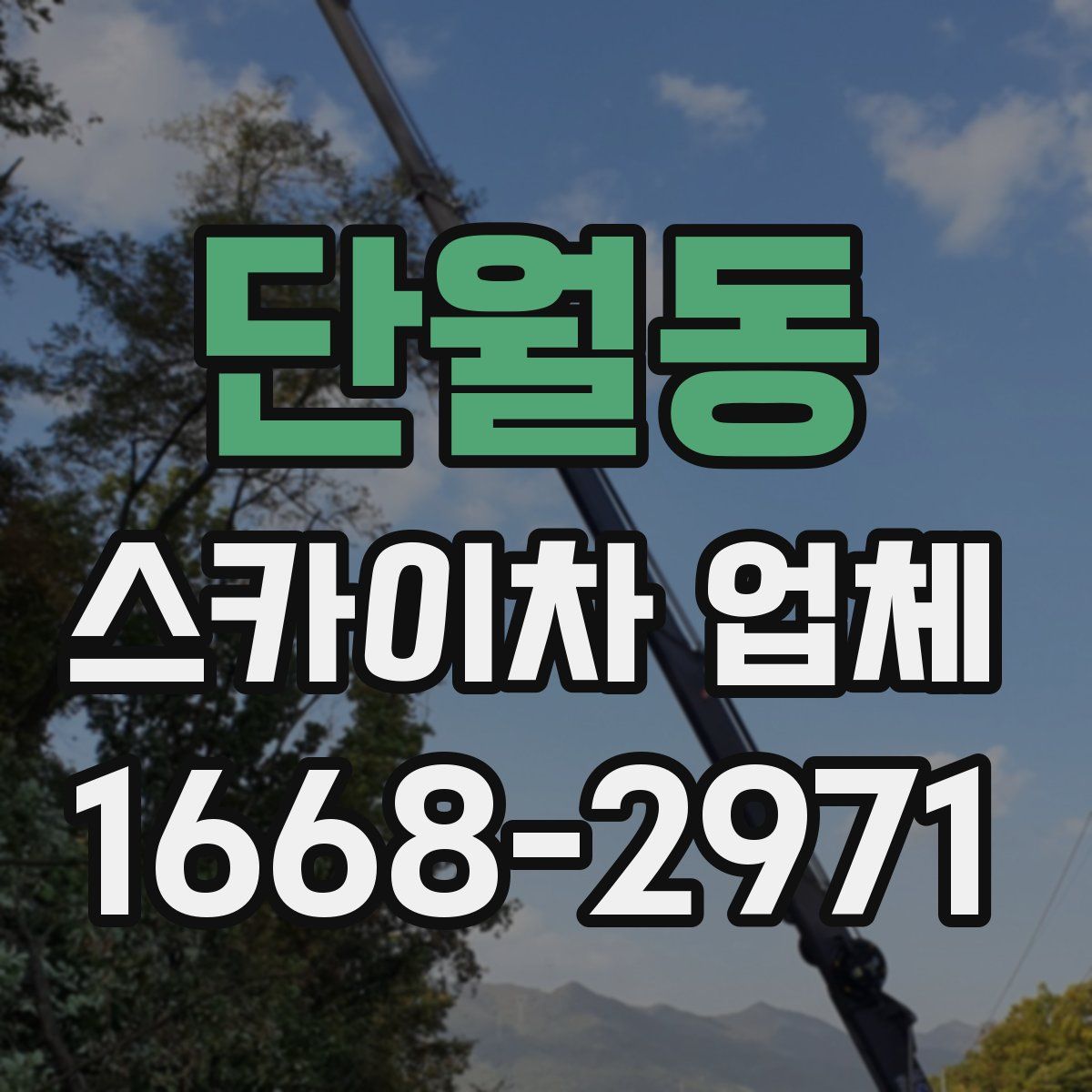 단월동 스카이차 업체