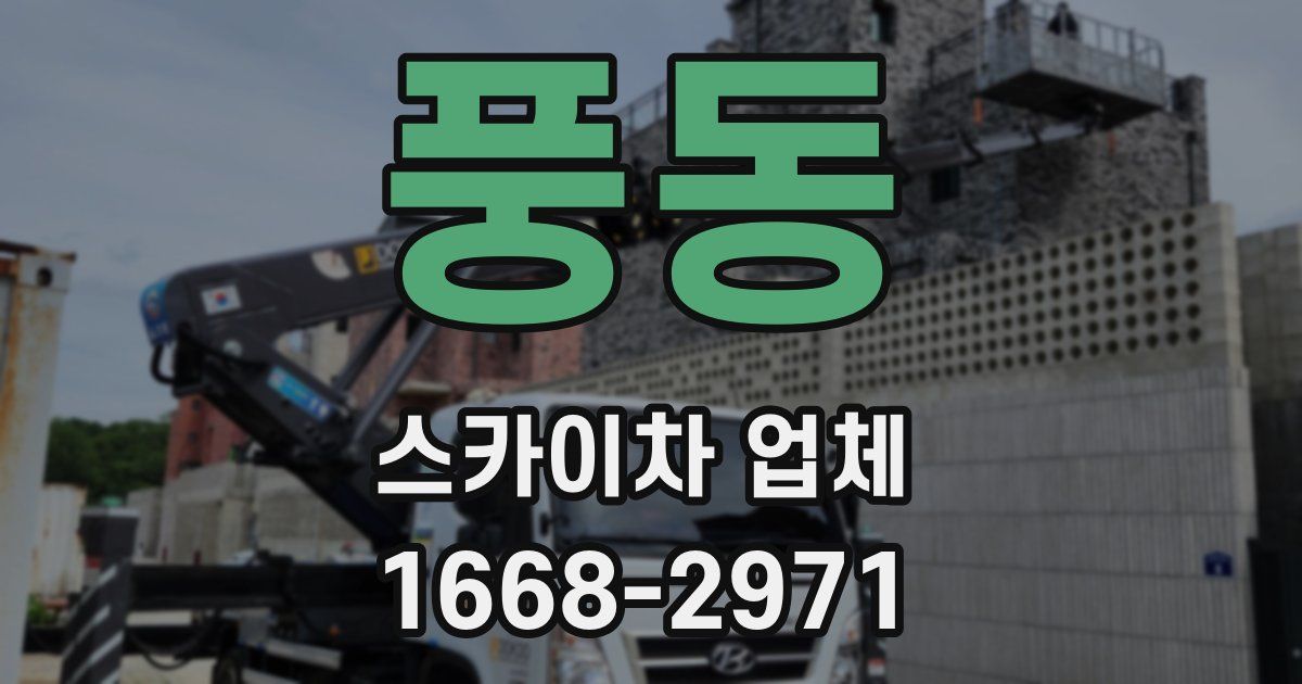 풍동 스카이차 업체