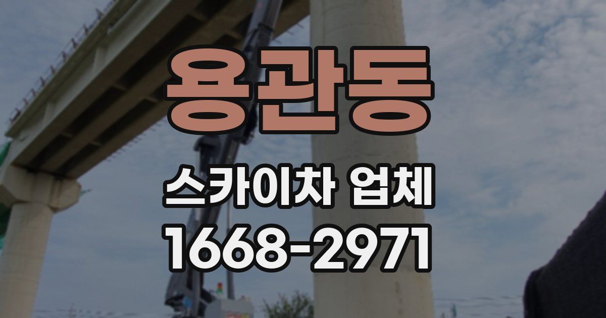 용관동 스카이차 업체
