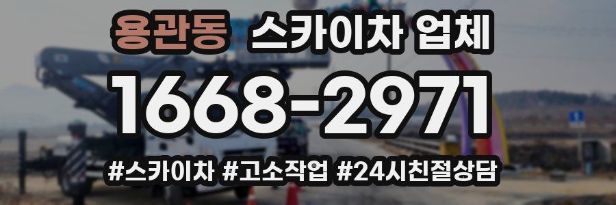 용관동 스카이차 업체