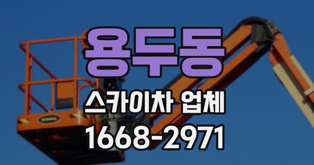 용두동 스카이차 업체